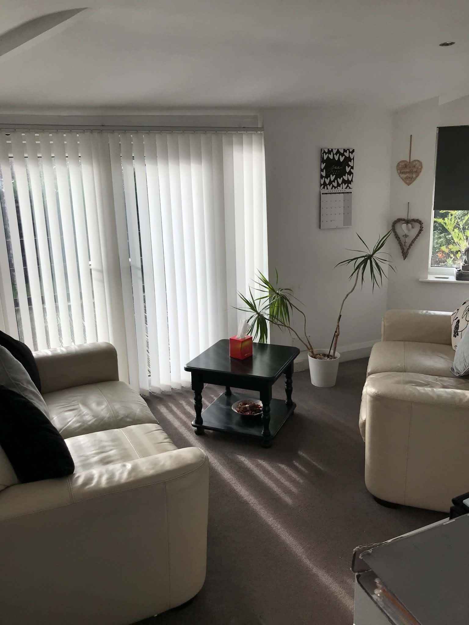 Two cream sofas facing each other across a low table with a box of tissues, and a tall houseplant